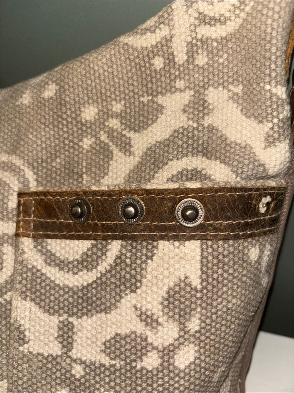 Myra Bag Archaic Canvas & Leather Crossbody - Picture 5 of 13